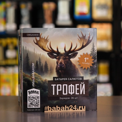 Фейерверк "Трофей" - Цена: 4 581 р. - Фото 1