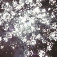 Фейерверк "Фантом"