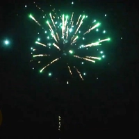 Фейерверк "Нева" 2025г.