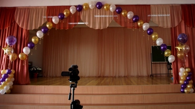 Гирлянда из шаров на леске - Цена: 600 р. - Фото 1