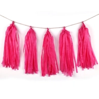 Тассел гирлянда, 10 кисточек