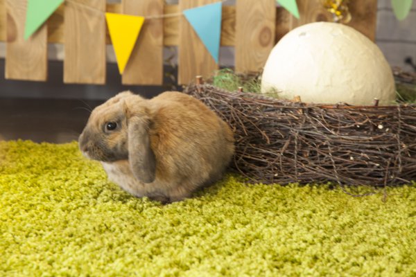 Пасха с Бабахом