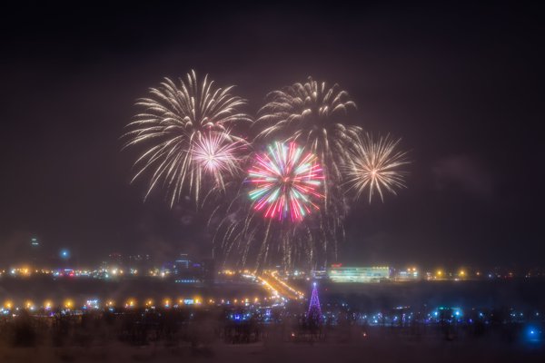 ВПЕРЕДИ НОВЫЙ ГОД-2009