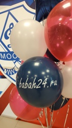 Бабах на финальном матче по хоккею с мячом. - Фото 4