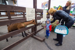 Большой праздник "Бабах - 2016" - Фото 2