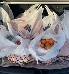 Мандарины для врачей ковидного госпиталя - Фото 4