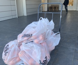 Мандарины для врачей ковидного госпиталя - Фото 3