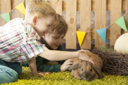 Пасха с Бабахом - Фото 2